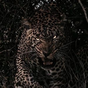 群发宣传册小猴导航
